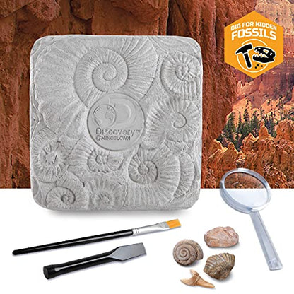 Discovery Colossal Fossil Dig Set, 15-Piece Archeology Excavation Kit, Uncover Real Shark Teeth and More, STEM Toys for Boys and Girls