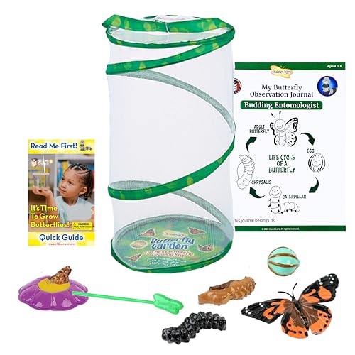 Insect Lore Giant Butterfly Garden with Voucher | 18 Inch Habitat | Life Cycle Figurines Included | Voucher to Redeem 5 Baby Caterpillars Later | Raise Painted Lady Butterflies