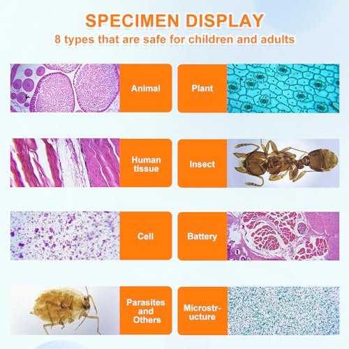 30 Pcs Microscope Slides with Specimens, Glass Prepared Slides Set