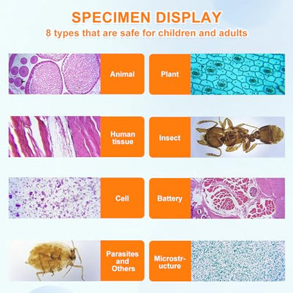 30 Pcs Microscope Slides with Specimens, Glass Prepared Slides Set