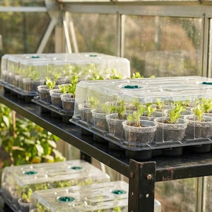 homenote 4 Pack 20 Cell Seed Starting Trays with 4 Vented Humidity Domes - size: 3 Inch, style: 4 Pack Seed Starter Tray+Humidity Dome