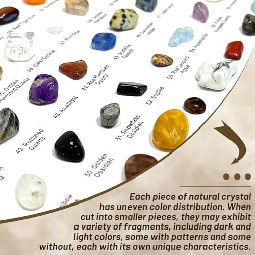 80PCS Natural Rock Collection Box, Crystals and Gemstones Rock Display Case