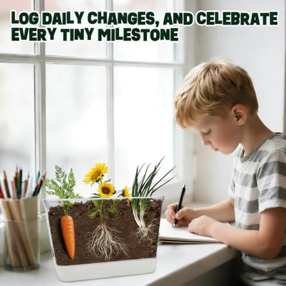 Large Root Viewer Kit for Kids STEM Science Toy Growing Kits for Ages 4, 5, 6, 7, 8, 9,10 Birthday Gifts for Boys Girls, DIY Set, Includes Strawberry, Eggplant, Dwarf Sunflower, Carrot, Pea, Scallion