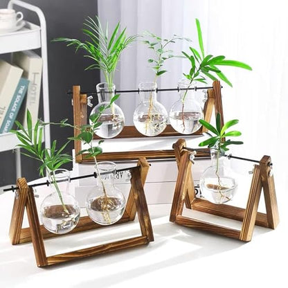 Kingbuy Plant Propagation Station, 3 Glass Bulb Vases with Wooden Stand - size: 3 Bulb Vase