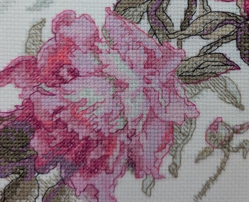 Aine A1010 Peonies. Whisper Counted Cross Stitch Kit 7 x 6 in - size: Peonies. Whisper