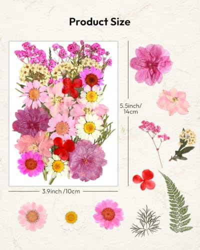Dried Flowers, Resiners 100Pcs Pressed Flowers for Craft - color: Blossom 100pcs