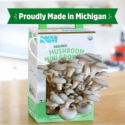 Back to the Roots Organic Mini Mushroom Grow Kit, Harvest Gourmet Oyster Mushrooms In 10 days, Top Gardening Gift, Holiday Gift, & Unique Gift - color: Mini