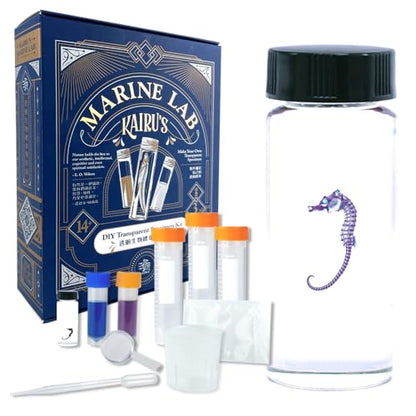 DIY Transparent Seahorse Specimen Kit - Educational, Ocean Animal, Diaphonized