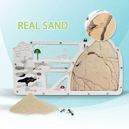 ELNMLHT Ant Farm Castle, Ant Farms with Yellow Sand and Tool Kit, Ant Colony Observation Kit, Ant Viewing Habitat Science Kit, Educational & Learning Science Kit for Kids, Adults, Student - color: Ant Farm D