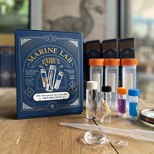 DIY Transparent Specimen Kit, Fish - style: DIY Kit, Fish