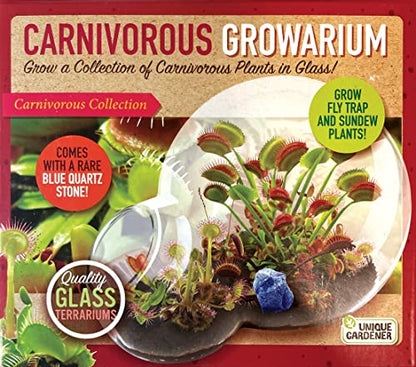 Grow Your Own Venus Fly Trap, Kids Garden Glass Terrarium Starting Kit to Sprout Flytrap and Sundew Plants, Includes Seed and Complete Terrarium Supplies for The Plant to Thrive - style: Carnivorous Growarium