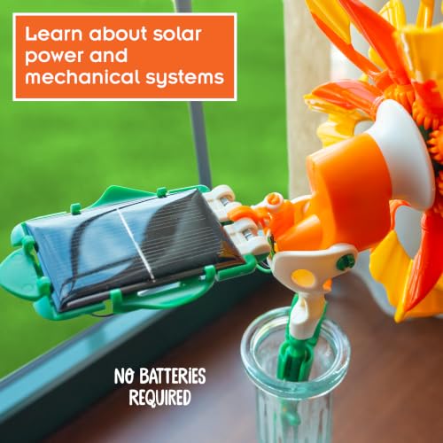 Thames & Kosmos SolarFlower Golden Sunrise STEM Kit | Build a Motorized Solar-Powered Flower with Spinning, Colorful Petals, Educational Gift for Kids Ages 8+, Adults - color: Golden Yellow