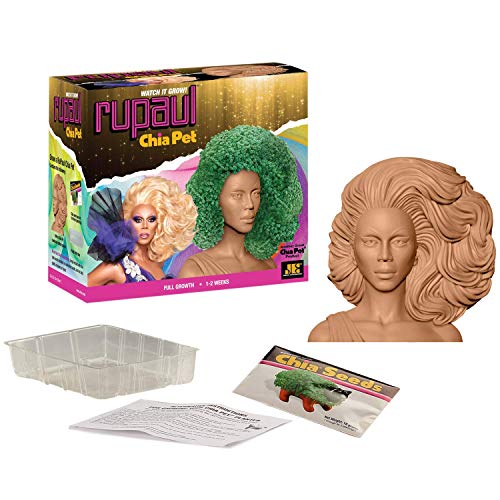 Chia Pet RuPaul with Seed Pack, Decorative Pottery Planter, Easy to Do and Fun to Grow, Novelty Gift, Perfect for Any Occasion : Patio, Lawn & Garden. - style: Rupaul