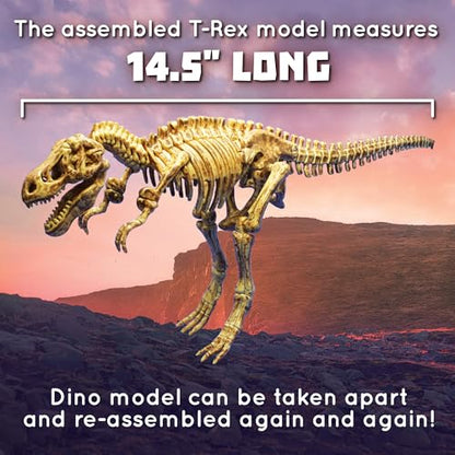 MindWare Dig It up Tyrannosaurus Rex Fossil Excavation Kit – Dinosaur Stem Toy for Kids – Includes Fossil Block, Hammer, Chisels, Brush, & Sponge