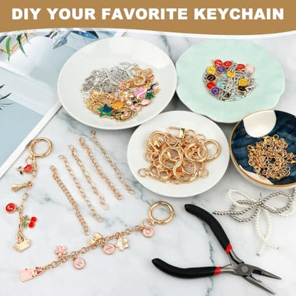 Olnverath 325Pcs Lip Gloss Keychain Making Kit with Charms, Including Keychain Clips Extender Chain Charms Jewelry Plier, Jewelry Making Kit for Custom Keychains and DIY Crafting(Alloy)