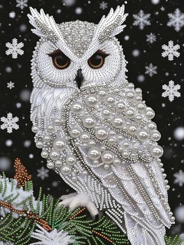 SuuTang 5D Owl Diamond Art Pearl Painting Kits for Adults, 13.8X17.8 inch - color: OWL 002