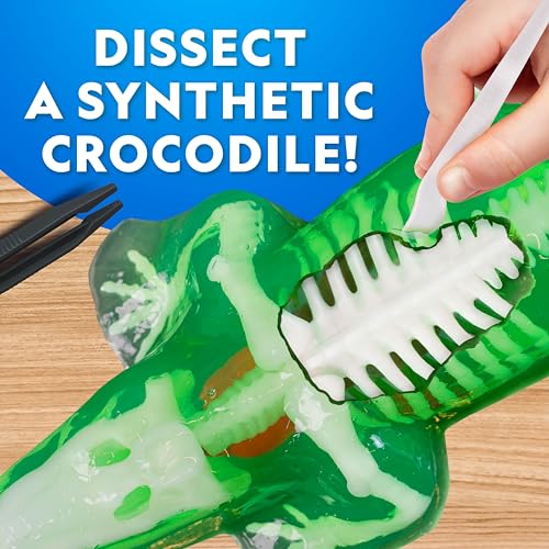 National Geographic Glow in the Dark Crocodile Dissection Lab Kit for Kids - style: Crocodile Dissection Kit