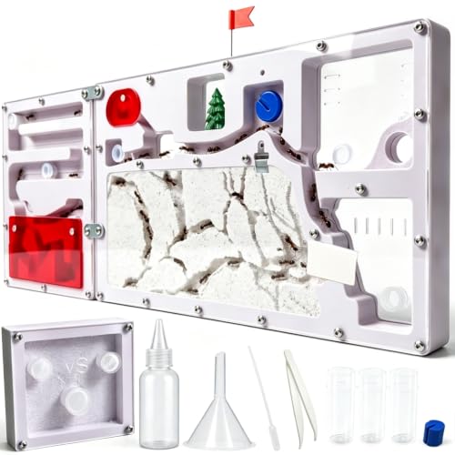 Giant Ant Farm with 2 Expansion Zones - Care Live Ants, Colony Farms Kit