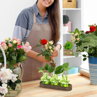 XXXFLOWER Plant Propagation Station with Wooden Stand 3 Green Star Jars - color: Green