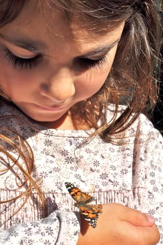 Insect Lore Butterfly Garden Kit – Live Caterpillar Habitat with Pre-Paid Voucher and Pop-Up Habitat– STEM-Accredited Butterfly Growing Kit for Kids, Classrooms, and Homeschool Learning