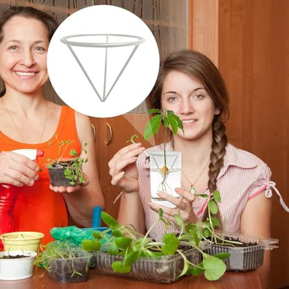 Avocado Growing Bracket Triangular Plant Root Germination Holder - color: Silver