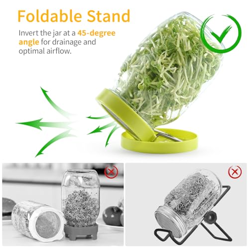 Luckyiren 2 Set Seed Sprouter Kit for Wide Mouth Jars - Germination Tray with 316 Stainless Steel Mesh, BPA Free Plastic Drip Tray & Tilted Lid for Bean Sprouts, Broccoli, Alfalfa, Microgreens