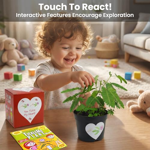 TickleMe Plant Lovers Box Grow Kit | Touch-Sensitive Plant that Closes Leaves When Touched or Blown a Kiss | Adult Plants Can Produce Sparkling Pink Flowers | Complete Indoor Grow Kit