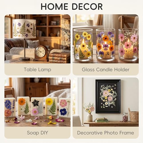 LUXEEASE 4-Color 100P Vibrant Dried Pressed Flowers - color: Blue/Orange/Pink/Purple 100p