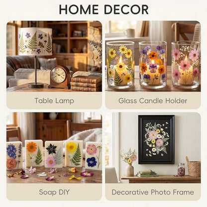 LUXEEASE 4-Color 100P Vibrant Dried Pressed Flowers - color: Blue/Orange/Pink/Purple 100p