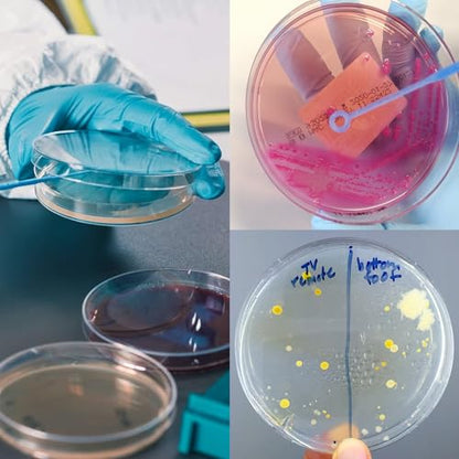 30 PCS 90mm 2 Compartments Plastic Petri Dish with Lids, Sterile with 10PCS 10uL Inoculation Loops - size: 2grids 90mm