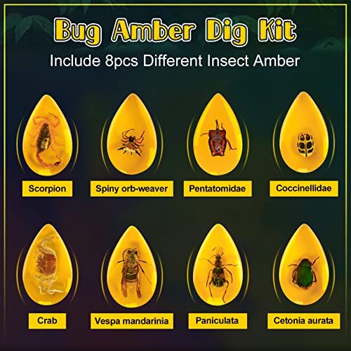 Bigger Amber Dig Kit-8 Artificial Insect Resin, Excavate Unique Insect Specimens, STEM Excavation Bugs Toys Science Kit for Kids,Educational Gifts Party Favors for Girls & Boys Age 6-8-12-14