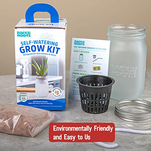 Back to the Roots Self Watering Grow Kit - Glass Hydroponic Planters for Succulents and Cacti Self-Watering System (Pack of 3) - size: 1 Count (Pack of 3), style: Self-Watering Succulent Kit