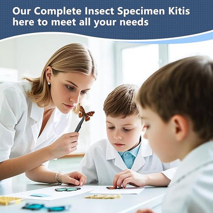 Insect Specimen Tools Kit - EVA Foam Pinning Board, Coordinate Paper, Wings Pressing Paper, Insect Pins & Butterfly Pins, Complete Entomology Kit for Beginners (Walnut Display Case Box Kit) - size: Walnut Display Case Box Kit
