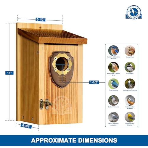 SISTERBIRD 2 Pack Bird House, Premium Bird Houses for Outside Warming Gifts - color: Medium-roast coffee color -- 2PK