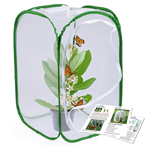 Butterfly Habitat Insect Cage, Full Mesh, 15.7 x 15.7 x 23.6 Inches - size: 15.7" x 15.7" x 23.6"
