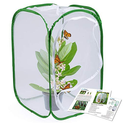 Butterfly Habitat Insect Cage, Full Mesh, 15.7 x 15.7 x 23.6 Inches - size: 15.7" x 15.7" x 23.6"