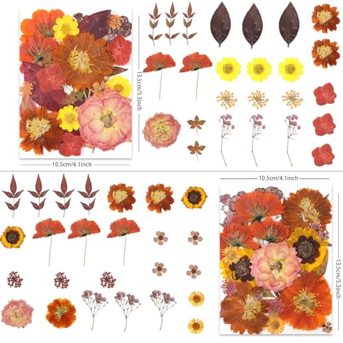 LUXEEASE 100P Autumn Dried Pressed Flowers, Warm Tone - color: Autumn Warm-tone 100p