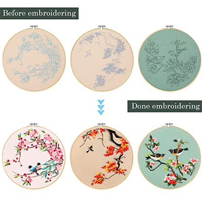 Santune 3 Pack Embroidery Kit for Adults Cross Stitch Kits for Beginners with Bird Patterns,3 Instructions,1 Hoop,Threads and 6 Needles,Hand Needlepoint Sets for Women - color: Cut Bird Series
