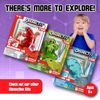 Top Secret Toys Dissect-It Mini Labs Bat Lab Dissection Kit for Kids, Realistic Synthetic Kids Science Kit - On, Biology and Animal Anatomy, STEM Toy, Ages 6+ - style: Mini Bat