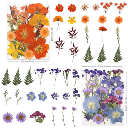 LUXEEASE 80P Vibrant Multicolor Dried Pressed Flowers - color: Warm Toned Flowers 80p