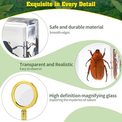 15 Real Insect Resin Specimens Set - Various Real Bug Specimens in Resin for Science Education, Classroom Biology, Bug Observation Kit with Storage Bag, Magnifying Glass & Instructions