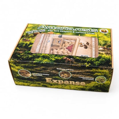 Expanse Ant Farm Nest, Large Formicarium Habitat with Cave System, Moisture System and Integrated Outworld for Ant Keeping