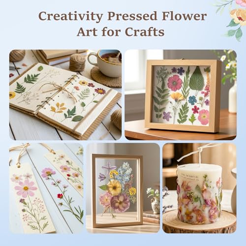 Extra Large Flower Press Kit for Adults, 17" x 11.8" Flower Pressing Kit - size: 17" x 11.8" 5 Layers