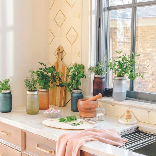 Modern Sprout Glass Jar Grow Set, Indoor Herb Garden, Seed Starter Set, Organic, Non-GMO, Parsley - color: Parsley