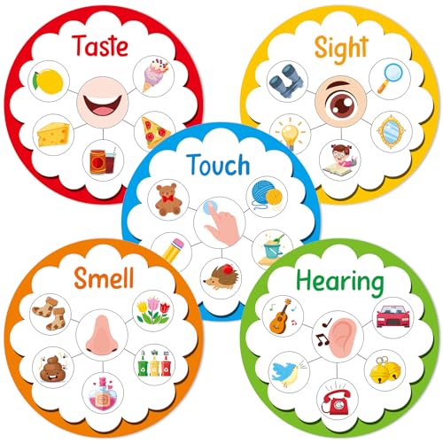 5 Senses Learning Activity for Kids Educational Teacher Supplies Five Senses Sorting Cards Learning Game Develop Fine Motor Skills for Toddlers Preschoolers and Kindergarteners Homeschool Must Haves