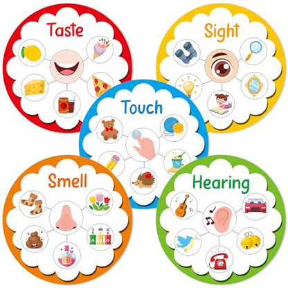5 Senses Learning Activity for Kids Educational Teacher Supplies Five Senses Sorting Cards Learning Game Develop Fine Motor Skills for Toddlers Preschoolers and Kindergarteners Homeschool Must Haves