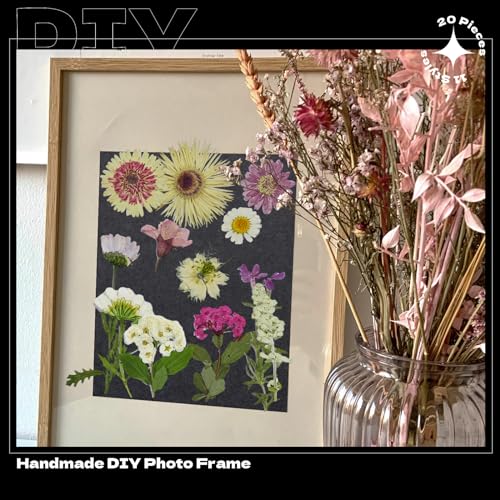 White Dried Pressed Flowers, 40Pcs Real Nature Flowers Set with Tweezers - size: 40 pcs White+Mixed Dried Flowers