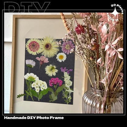 White Dried Pressed Flowers, 40Pcs Real Nature Flowers Set with Tweezers - size: 40 pcs White+Mixed Dried Flowers