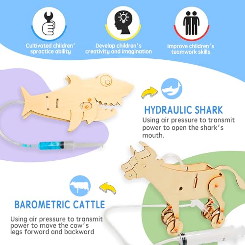 STEM Building Kit, 6-in-1 DIY Animal Construction Set with Hydraulic Shark, Clock Owl, Moving Cattle, Wooden Educational Science Toy for Ages 6+ (4)