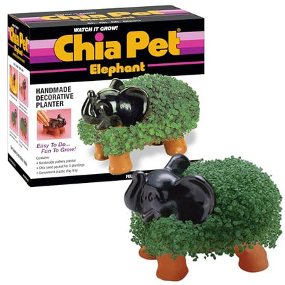 Chia Pet Elephant with Seed Pack, Decorative Pottery Planter, Easy to Do and Fun to Grow, Novelty Gift, Perfect for Any Occasion - style: Elephant